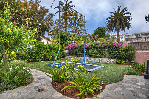 Back yard